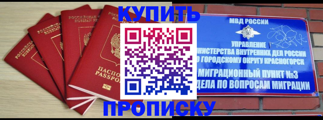 миграционный учет в Кингисеппе